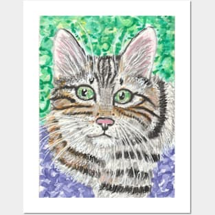 Cute cat  tabby Posters and Art